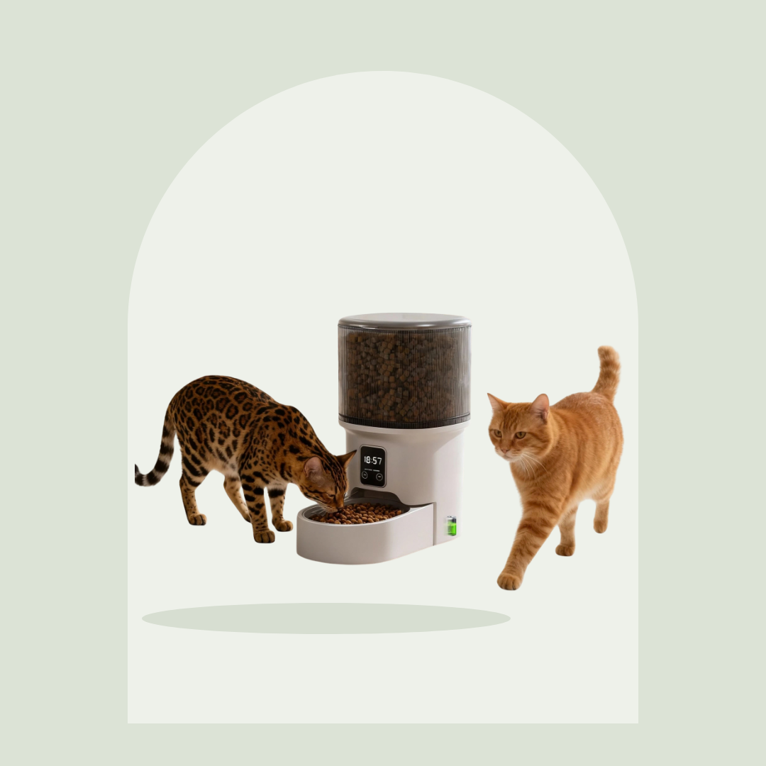 Distributeur de croquettes automatique 4L Pawspire, image principale