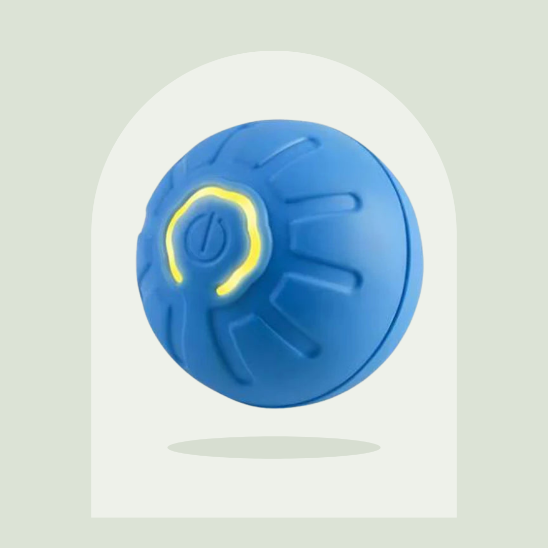 Balle interactive automatique Pawspire, image principale