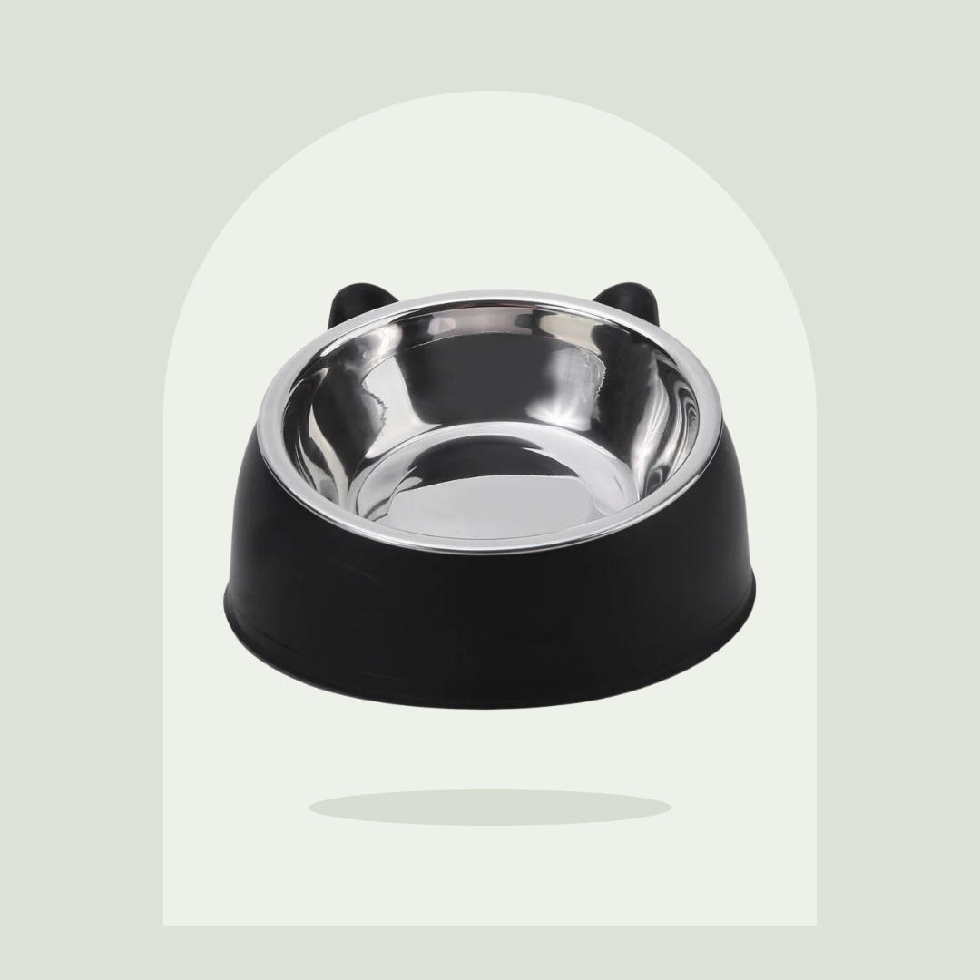 Gamelle inclinée à 15 degrés en inox Pawspire, image principale