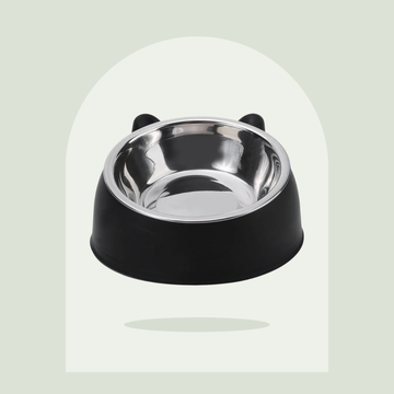 Gamelle inclinée à 15 degrés en inox Pawspire, image principale