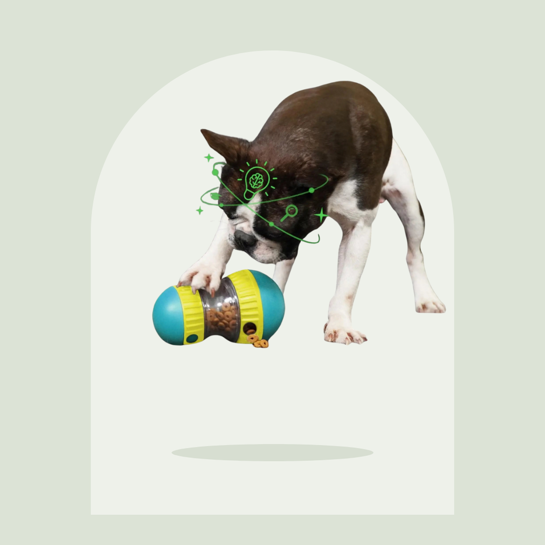 Balle distributrice de friandises Pawspire, image principale