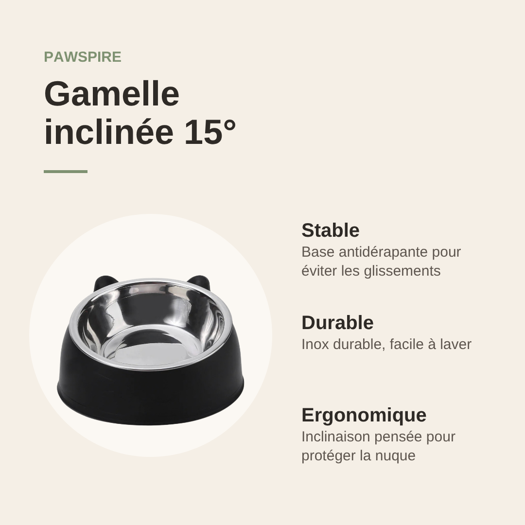 Gamelle inclinée à 15 degrés en inox Pawspire, avantages