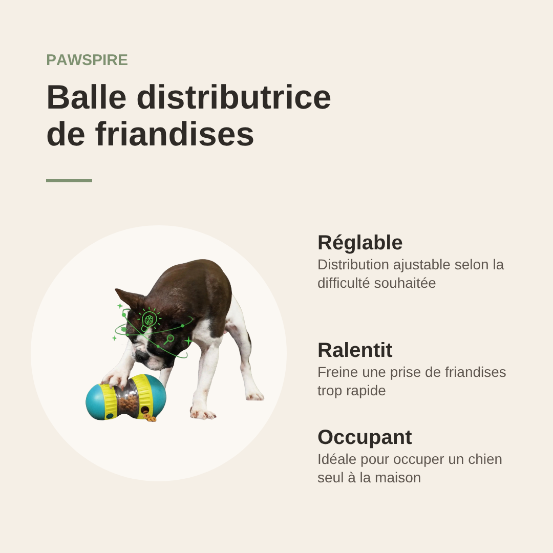 Balle distributrice de friandises Pawspire, image principale