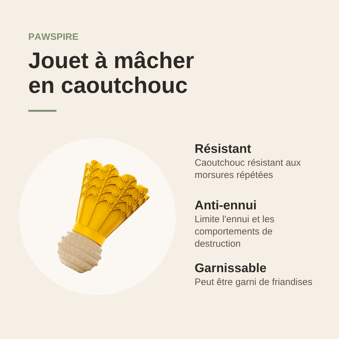 Jouet à mâcher en caoutchouc Pawspire, avantages