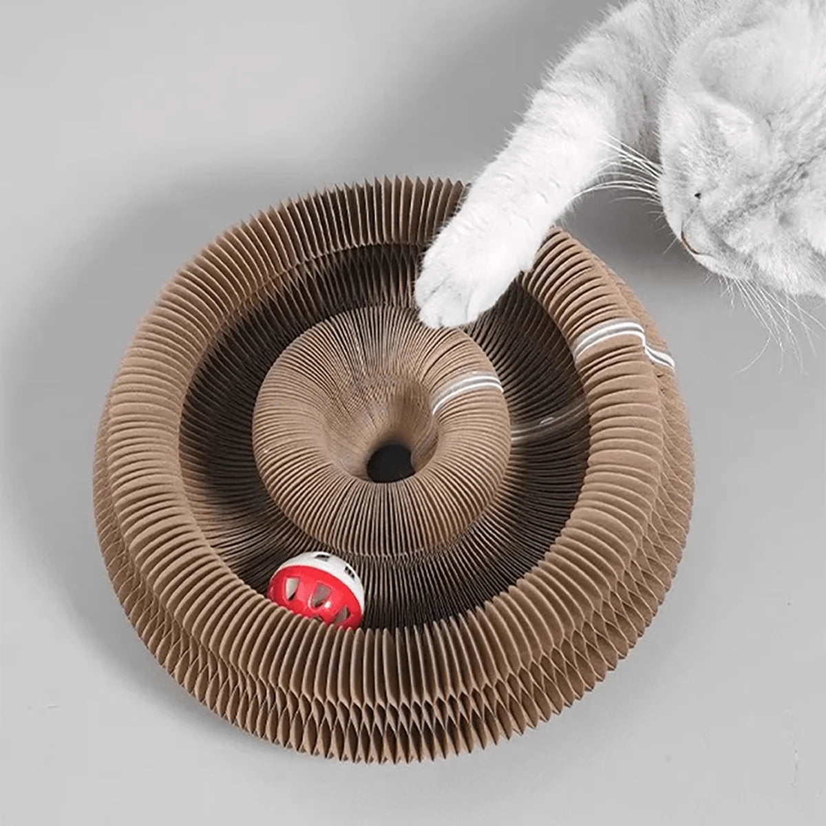 Clochette et herbe à chat du griffoir pliable