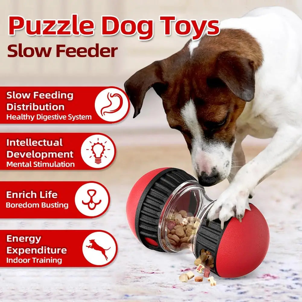 Balle distributrice de friandises réglable pour chien