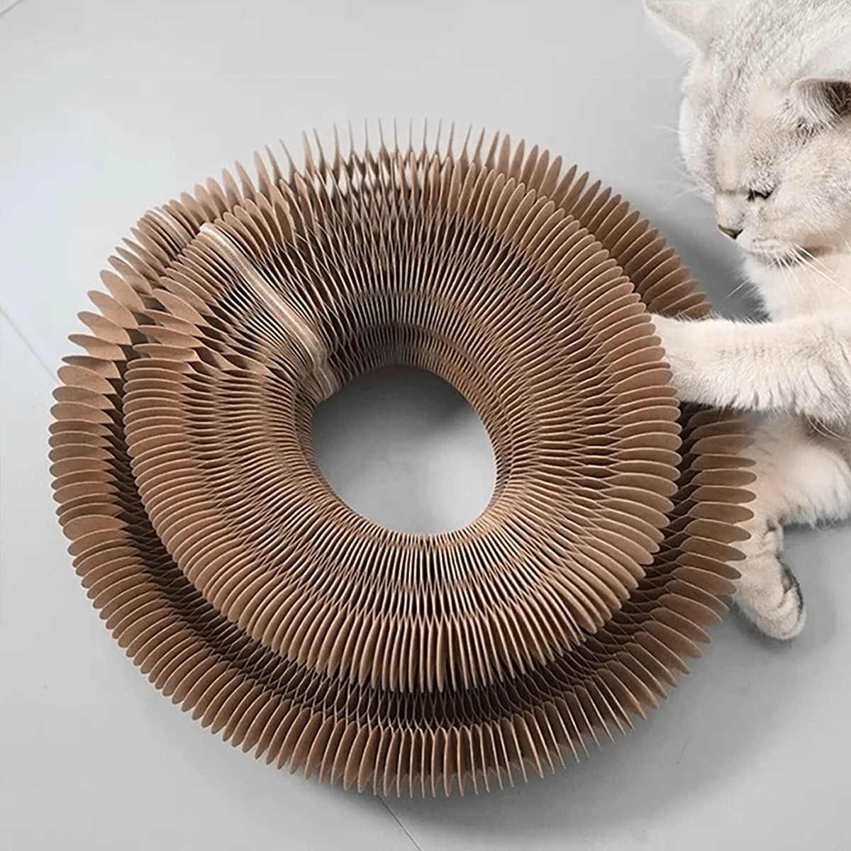 Cat Scratcher with Bell and Catnip – Pawspire