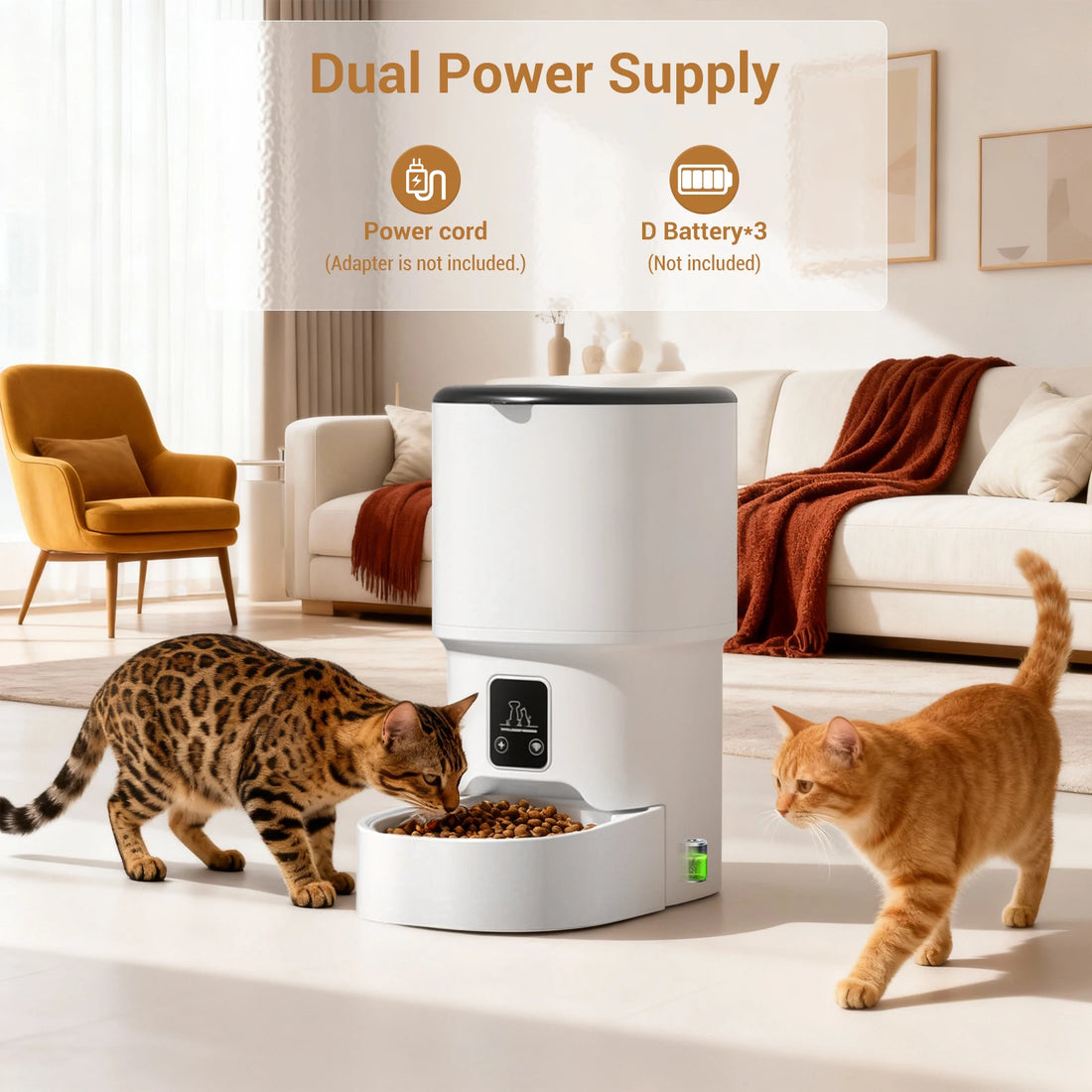 Distributeur de croquettes automatique programmable 4 L pour chat et petit chien