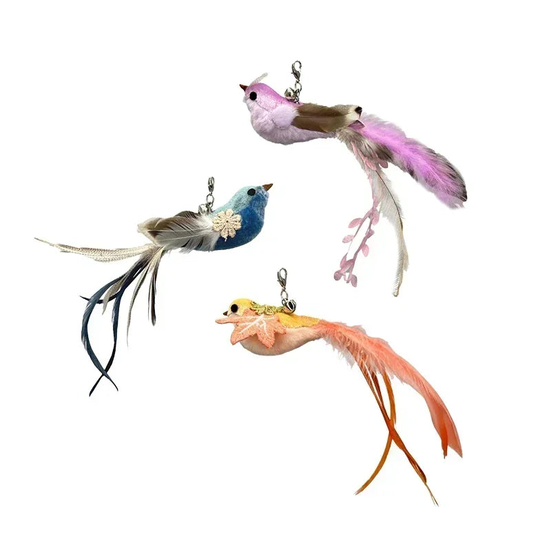 Peacock Feather Cat Teaser