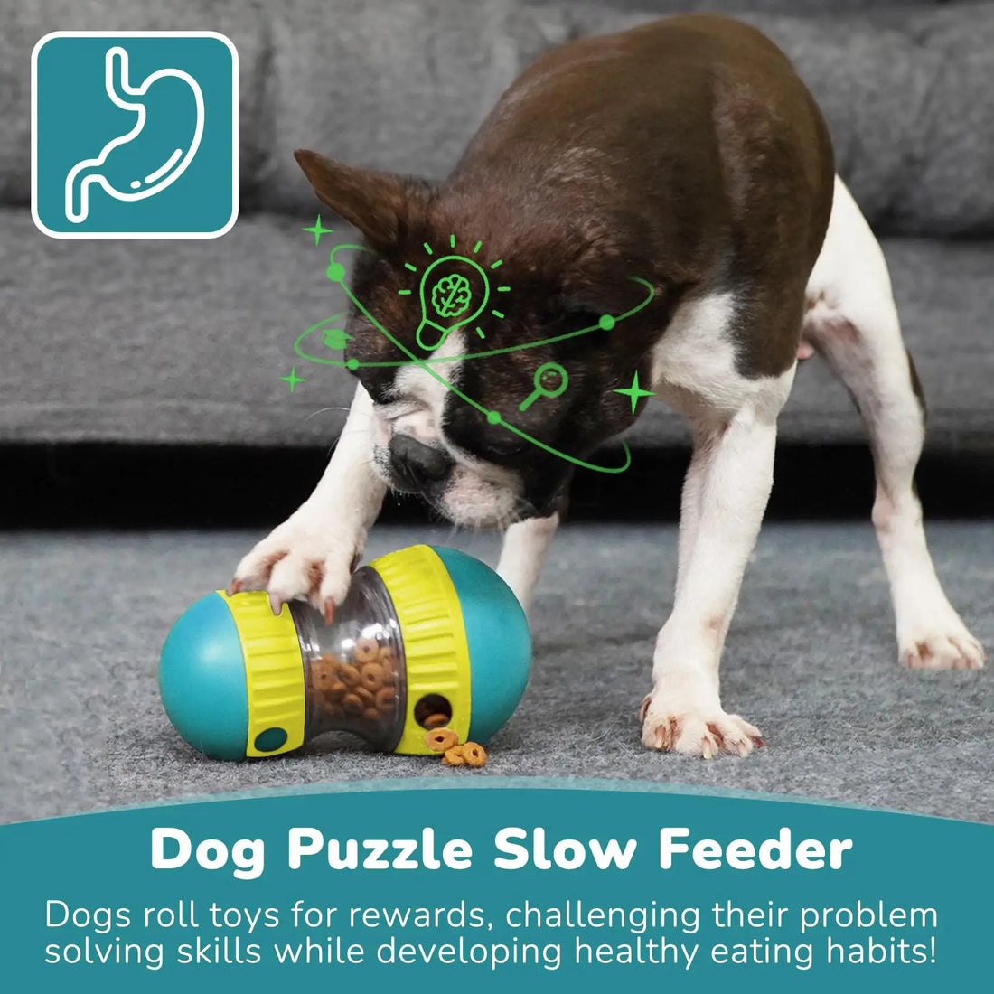 Balle distributrice de friandises réglable pour chien