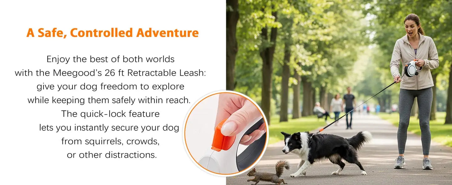 Retractable Leash with Dog Collar – Pawspire