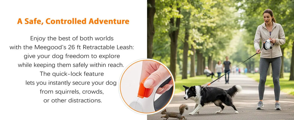 Retractable Leash with Dog Collar – Pawspire