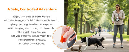 Retractable Leash with Dog Collar – Pawspire