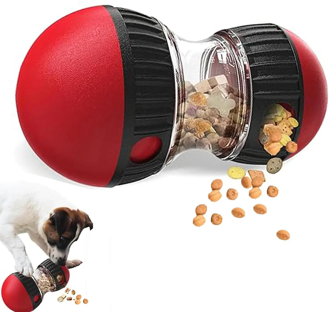Balle distributrice de friandises réglable pour chien