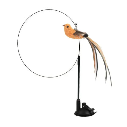 Peacock Feather Cat Teaser