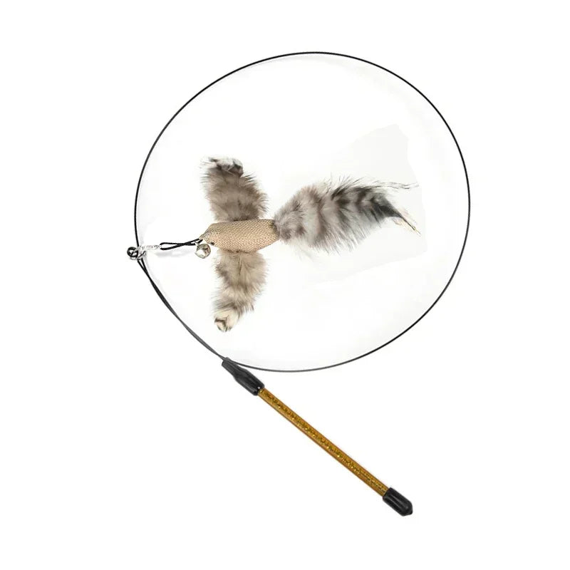 Peacock Feather Cat Teaser