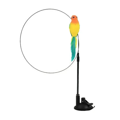 Peacock Feather Cat Teaser