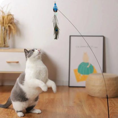 Interactive Peacock Feather Cat Teaser – Pawspire
