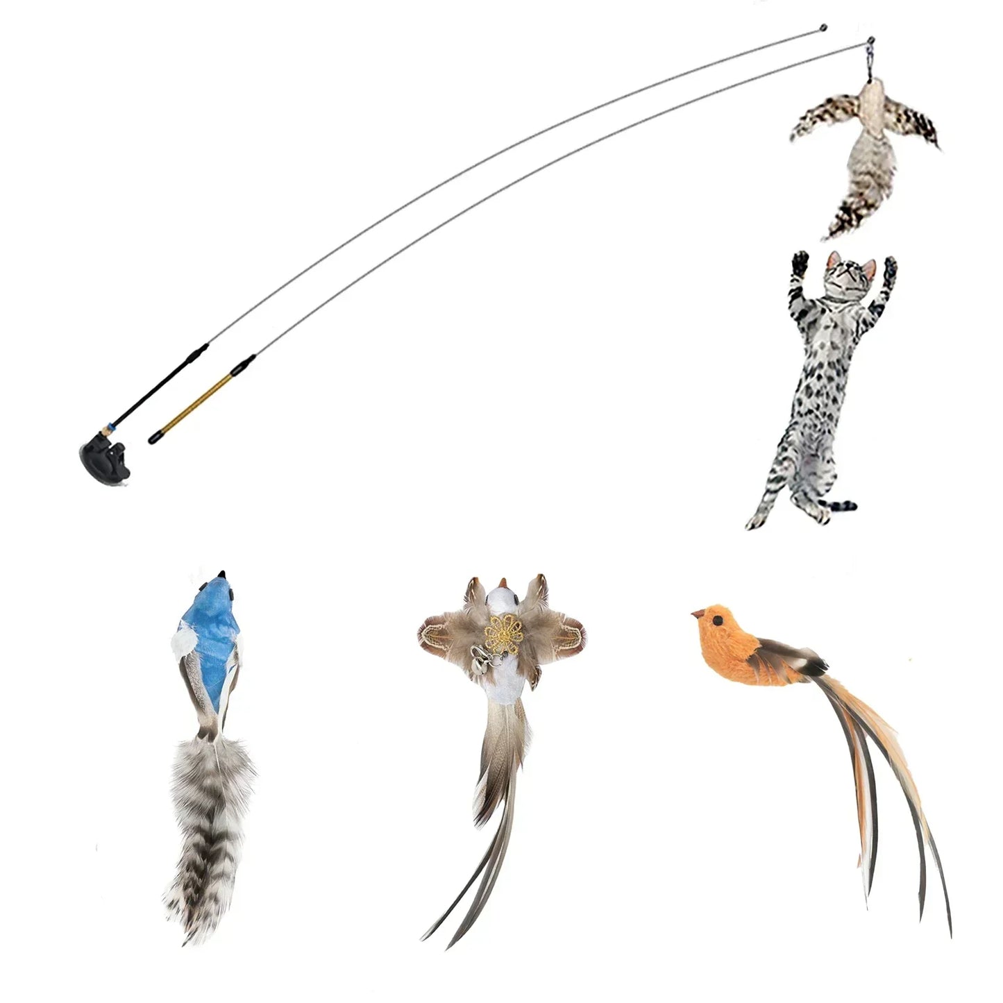 Peacock Feather Cat Teaser