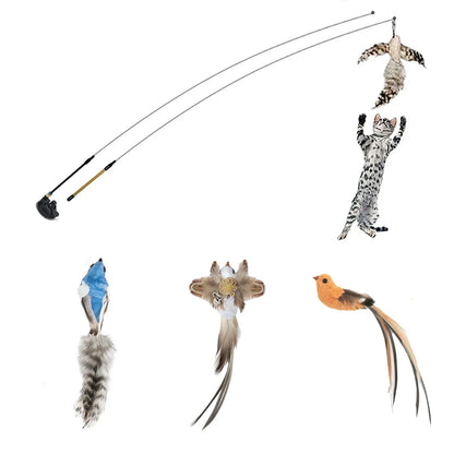Peacock Feather Cat Teaser