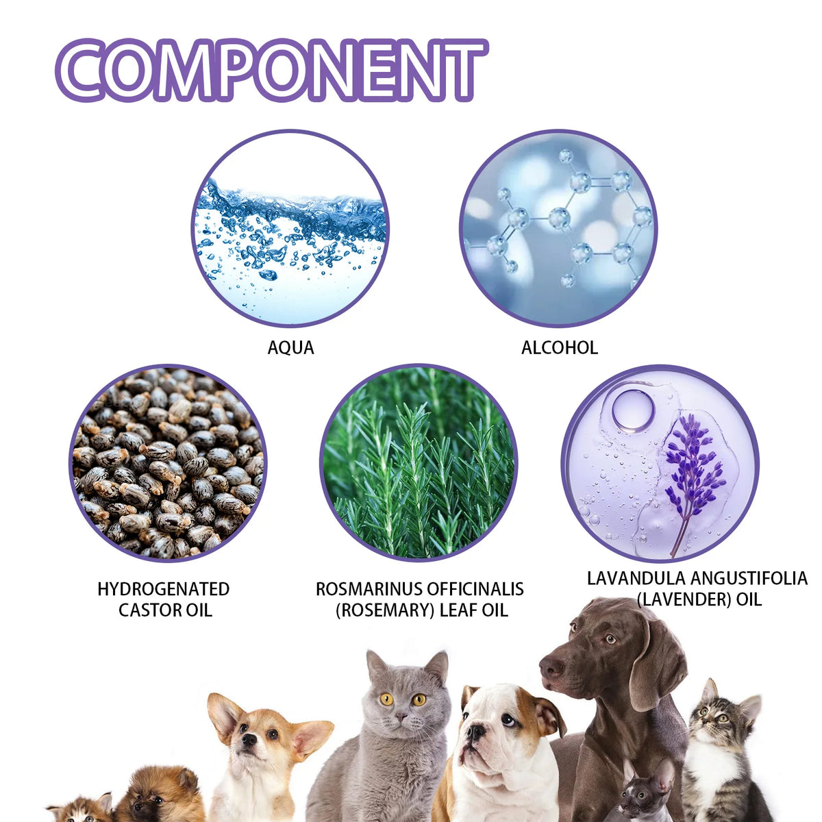 50ml Long Lasting Pet Odor Eliminator Spray – Pawspire