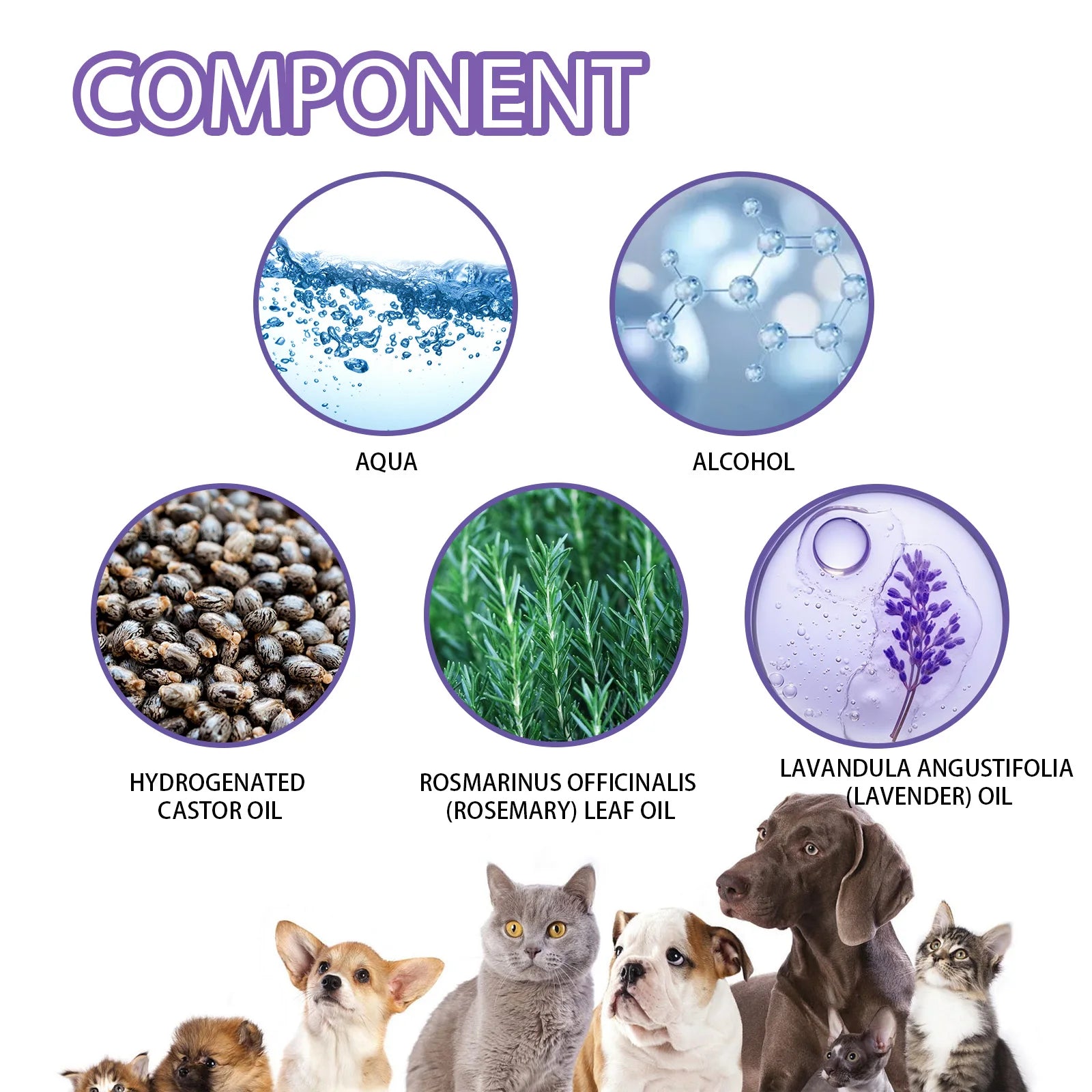 50ml Long Lasting Pet Odor Eliminator Spray – Pawspire