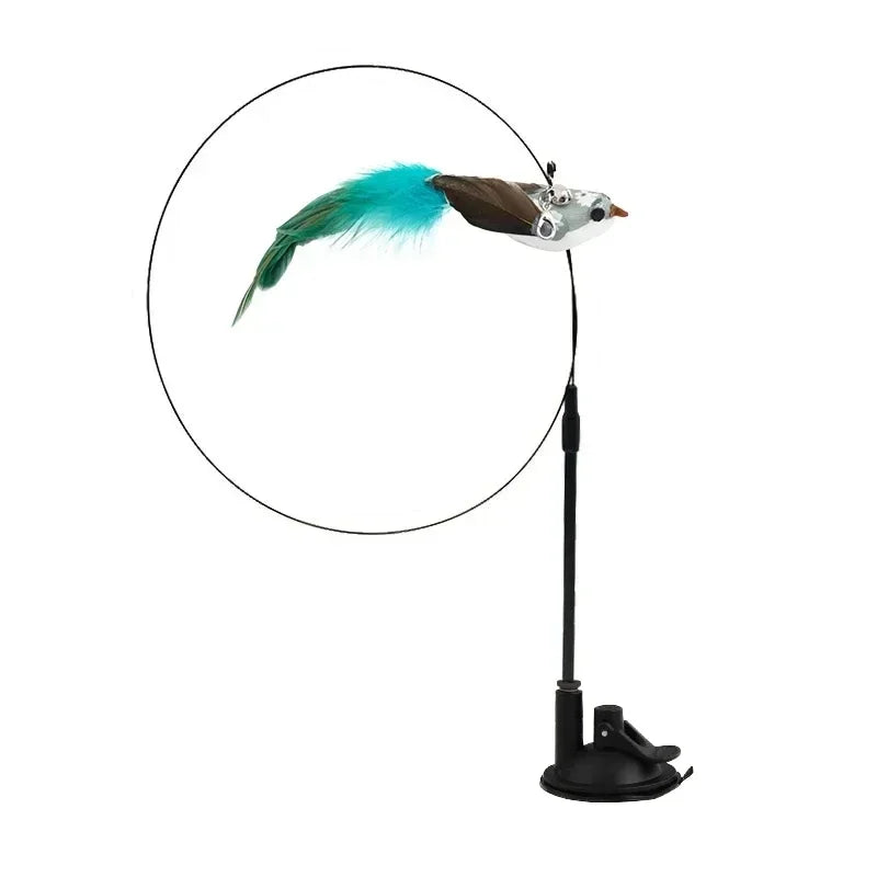 Peacock Feather Cat Teaser