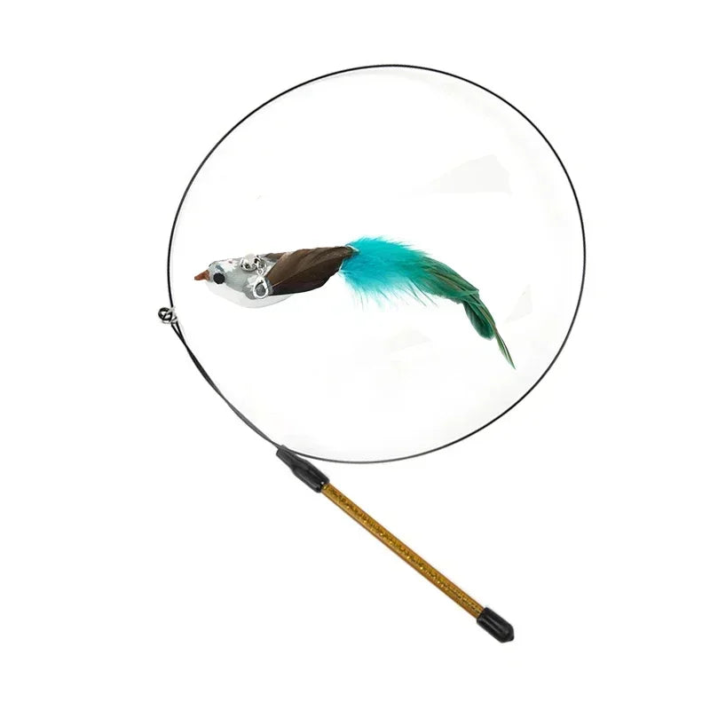 Peacock Feather Cat Teaser