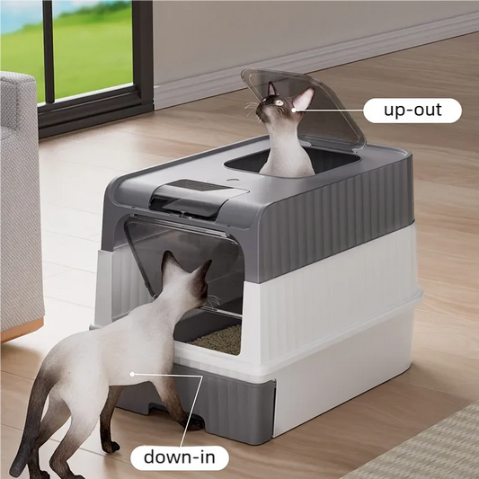 Large Foldable Cat Litter Box with Scoop & Lid