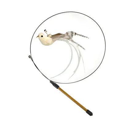 Peacock Feather Cat Teaser
