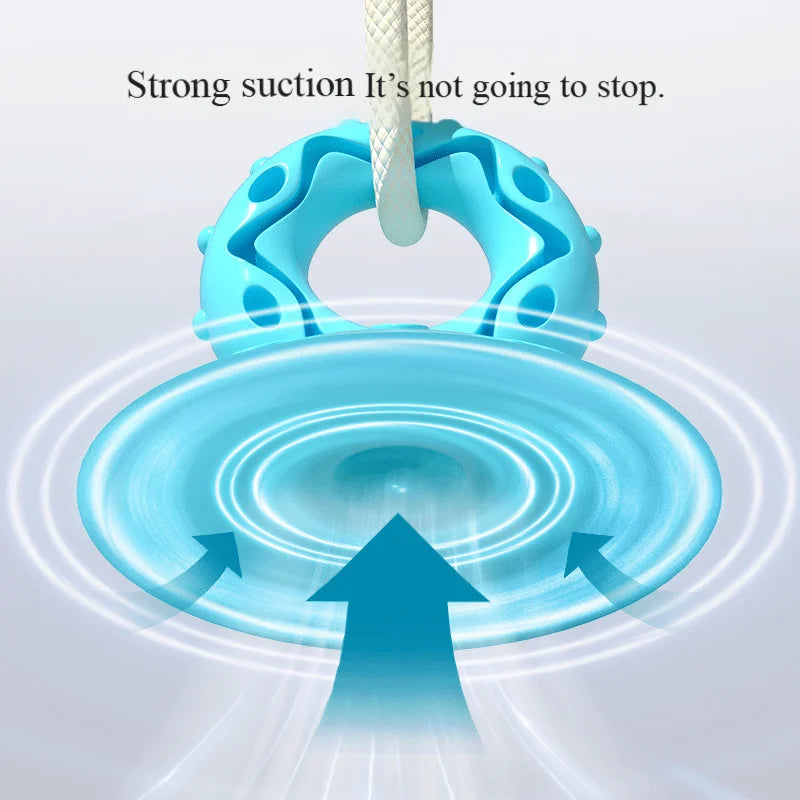 Suction Cup Dog Chew Toy