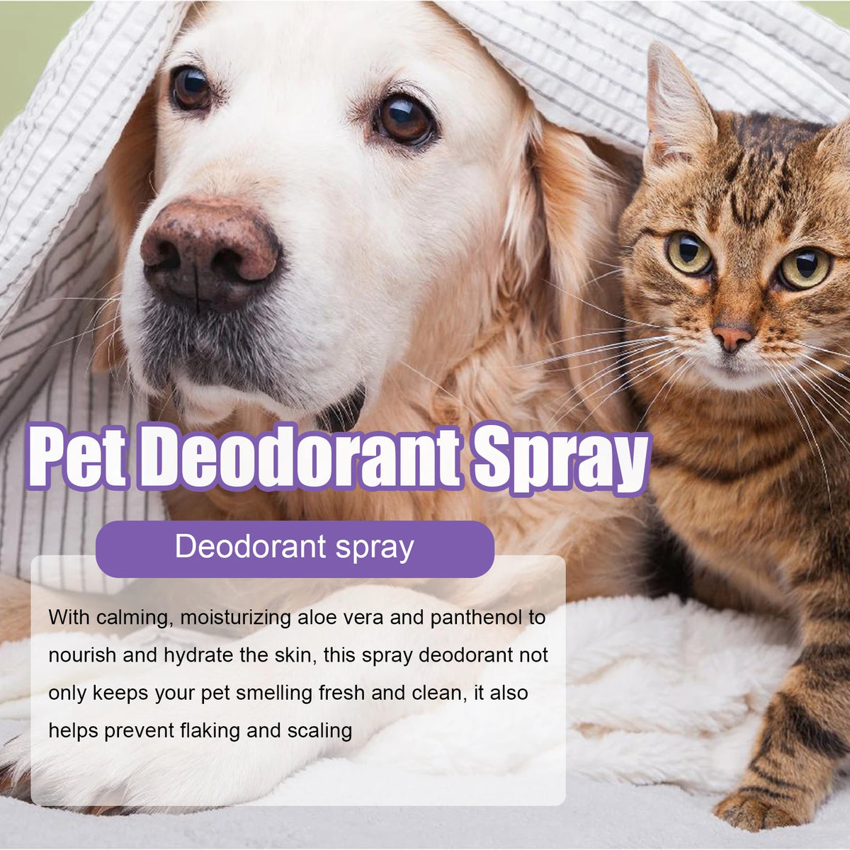 50ml Long Lasting Pet Odor Eliminator Spray – Pawspire