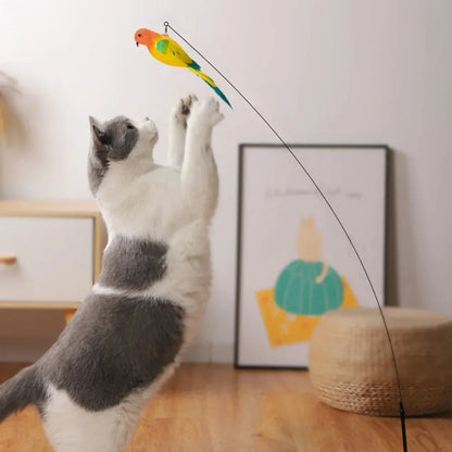 Interactive Peacock Feather Cat Teaser – Pawspire