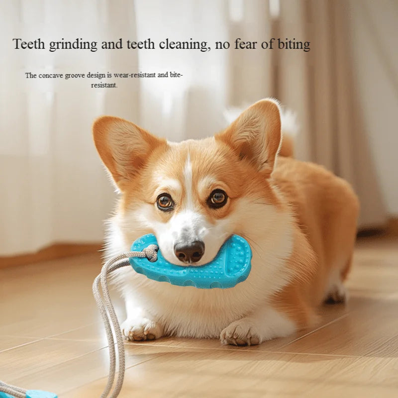 Jouet à mâcher à ventouse pour chien