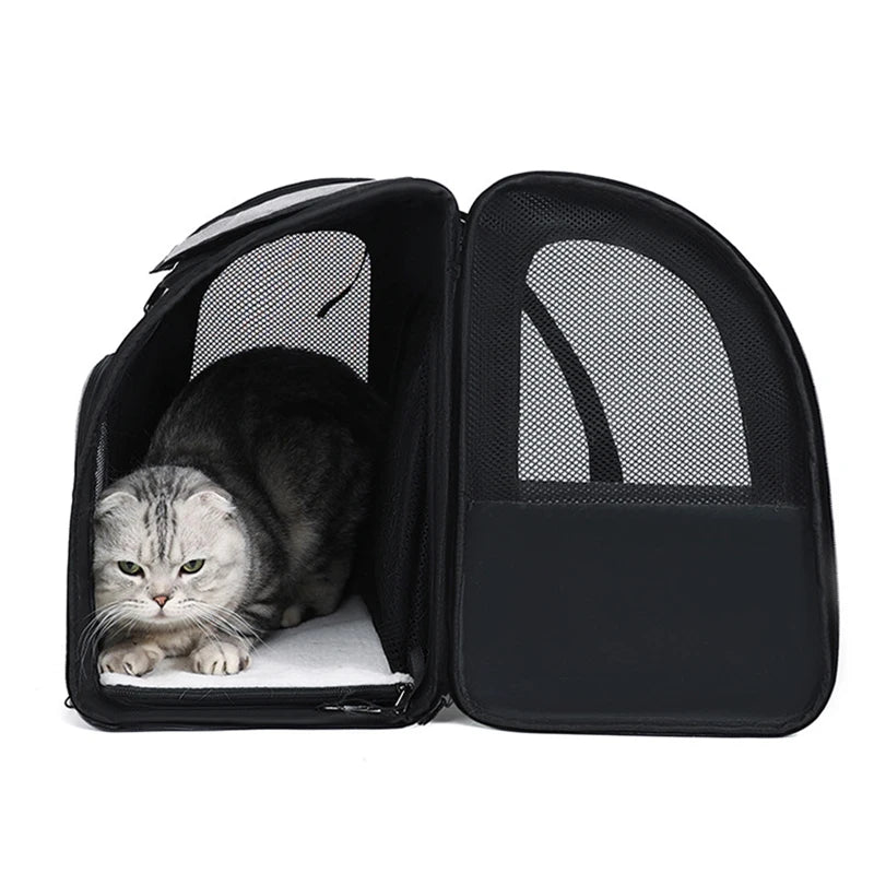 Premium Expandable Cat Carrier Backpack – Pawspire