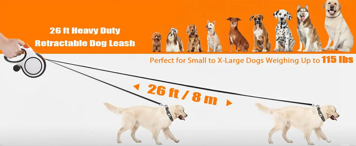 Adjustable Dog Collar Leash for Walking – Pawspire