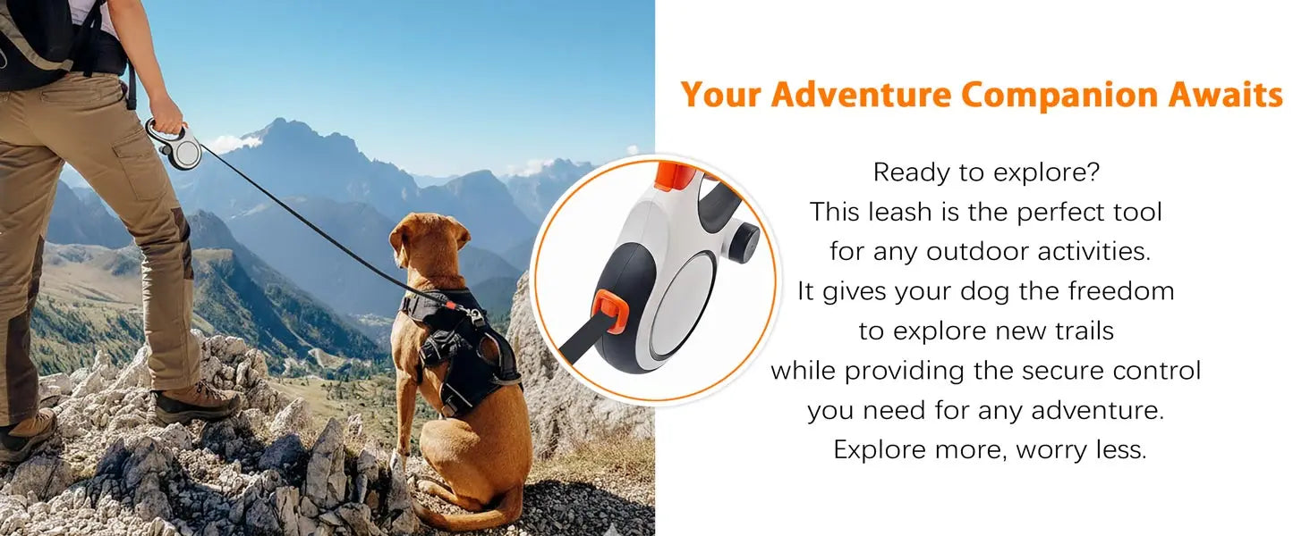 Adjustable Dog Collar Leash for Walking – Pawspire