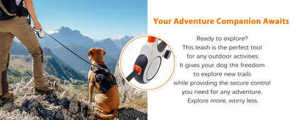 Adjustable Dog Collar Leash for Walking – Pawspire