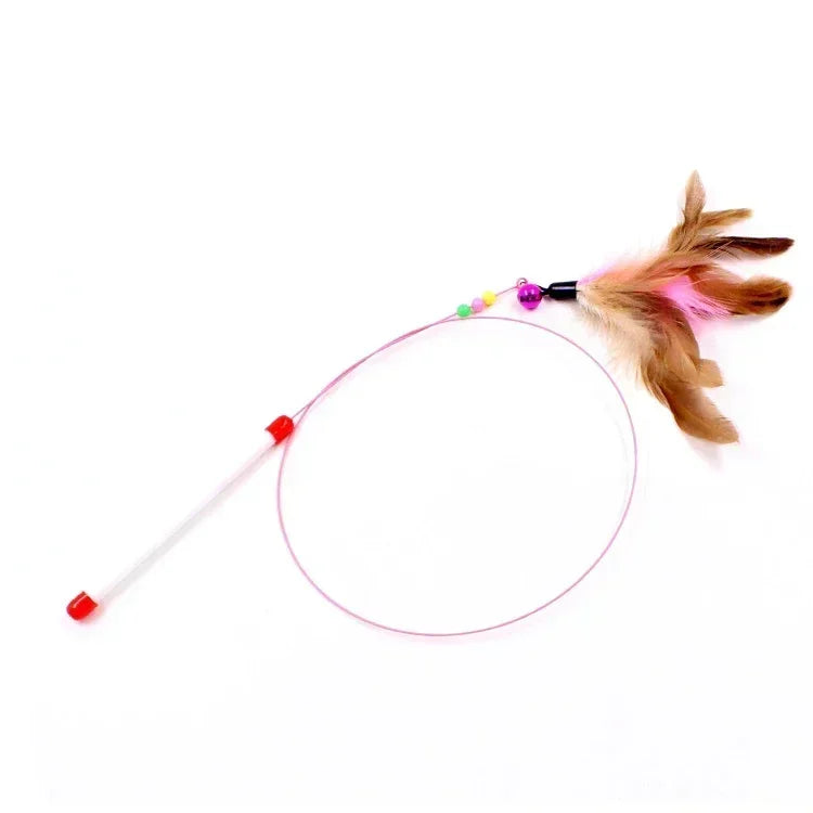 Peacock Feather Cat Teaser