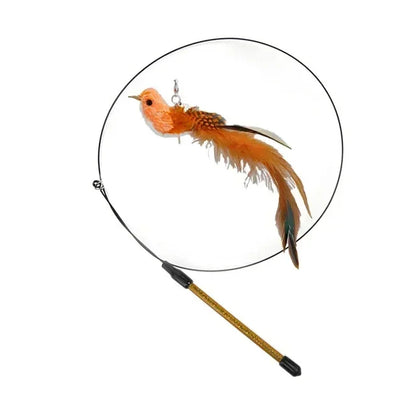 Peacock Feather Cat Teaser