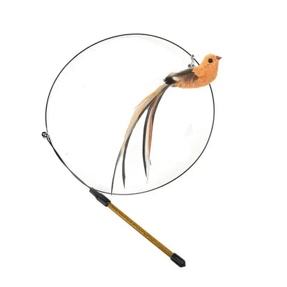 Vibrant Peacock Feather Cat Toy – Pawspire