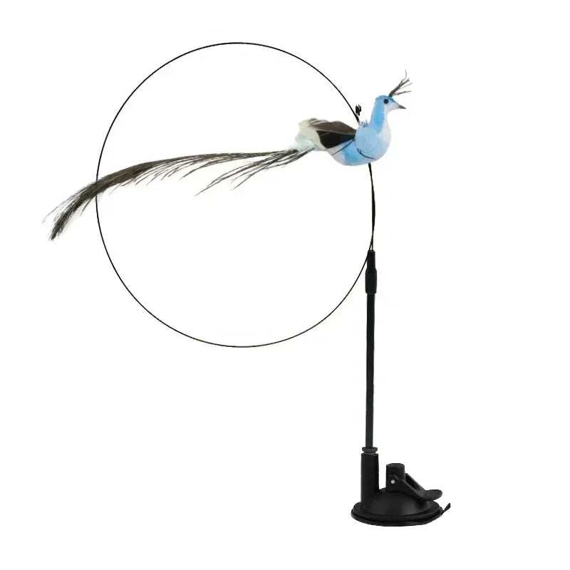 Peacock Feather Cat Teaser