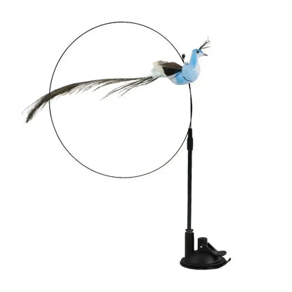 Peacock Feather Cat Teaser