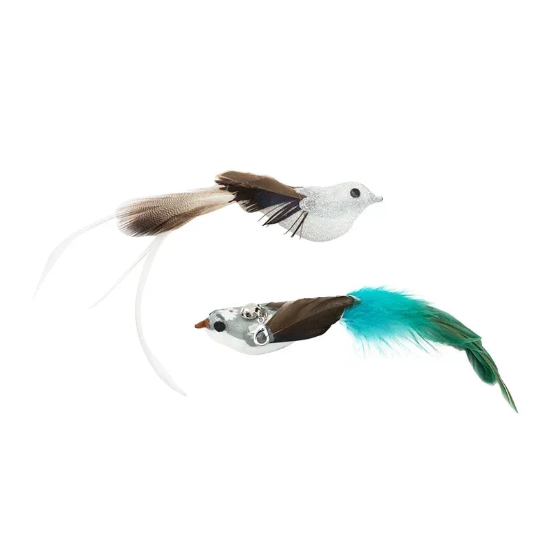Peacock Feather Cat Teaser