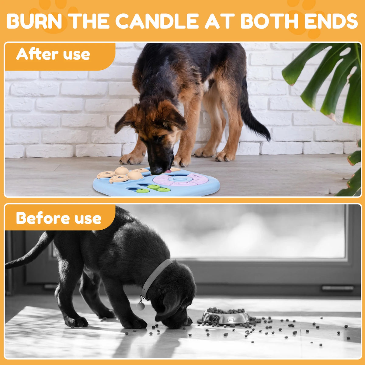 Compartiments du jouet puzzle pour chien