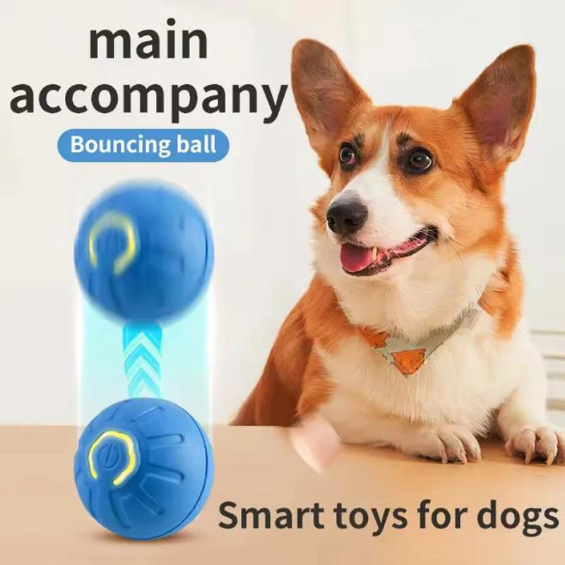 Balle interactive automatique pour chien et chat