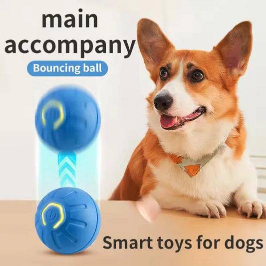 Automatic Interactive Pet Ball