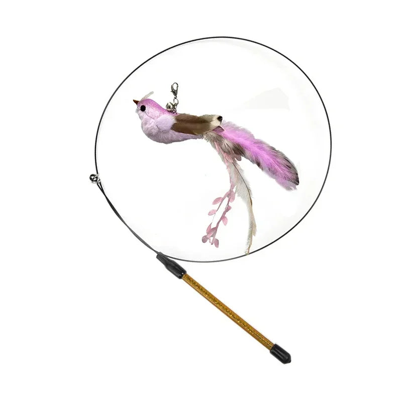 Peacock Feather Cat Teaser
