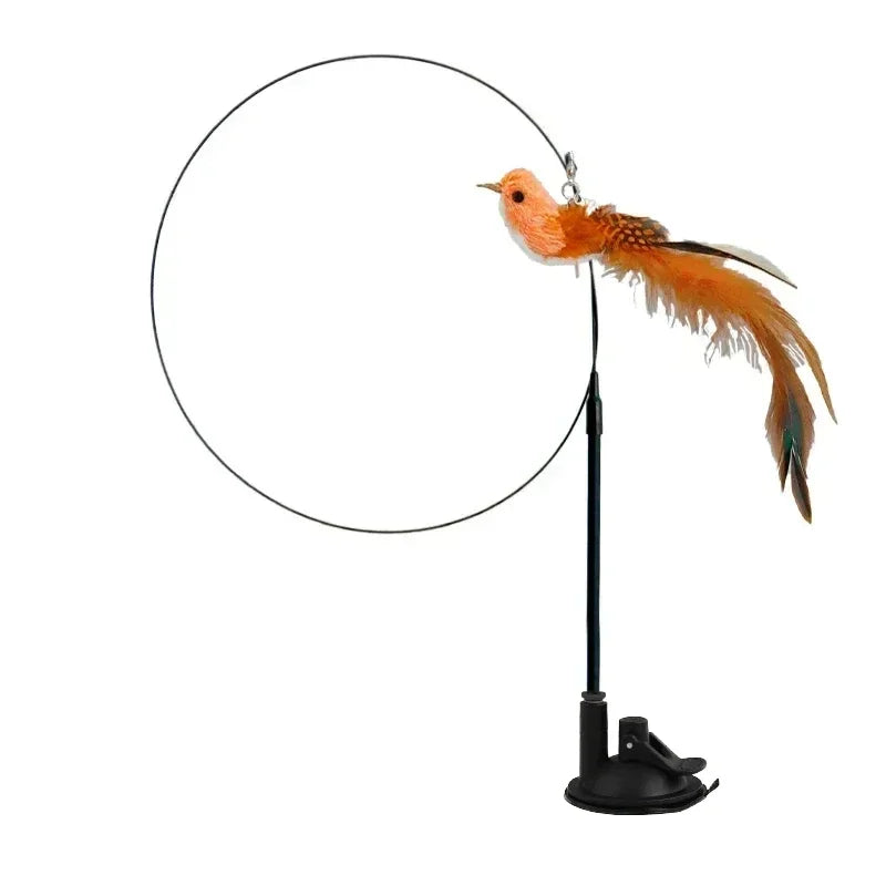 Peacock Feather Cat Teaser