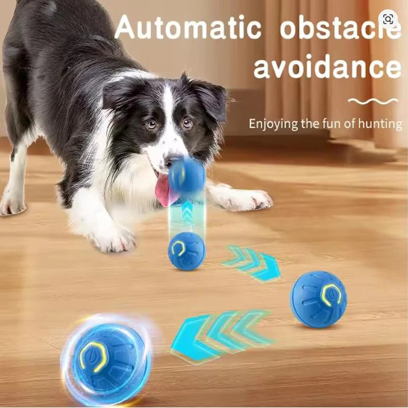 Balle interactive automatique pour chien et chat